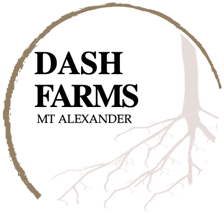 Dash Farms